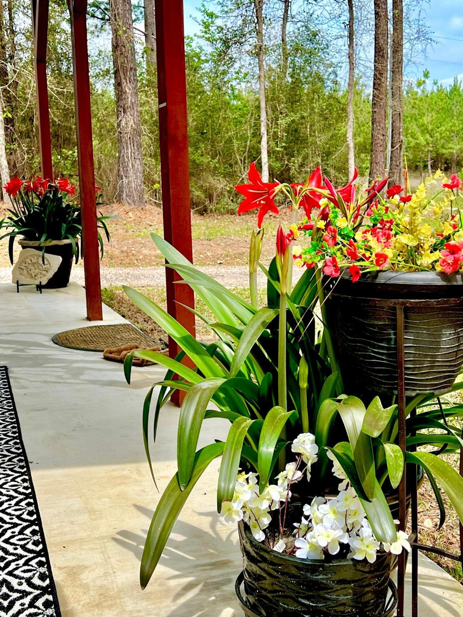 A Tranquil Retreat Loaded With Ambiance! Sleeps 10 Villa Platt Dış mekan fotoğraf